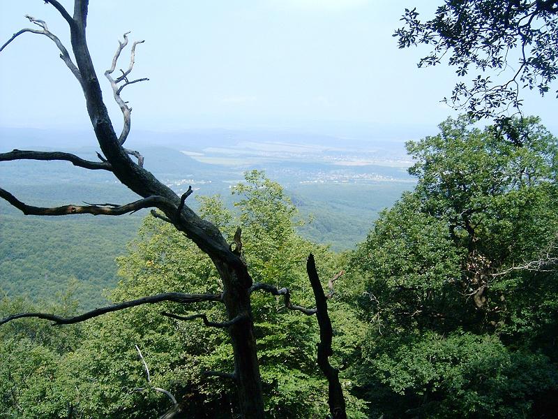 20100814 027.jpg